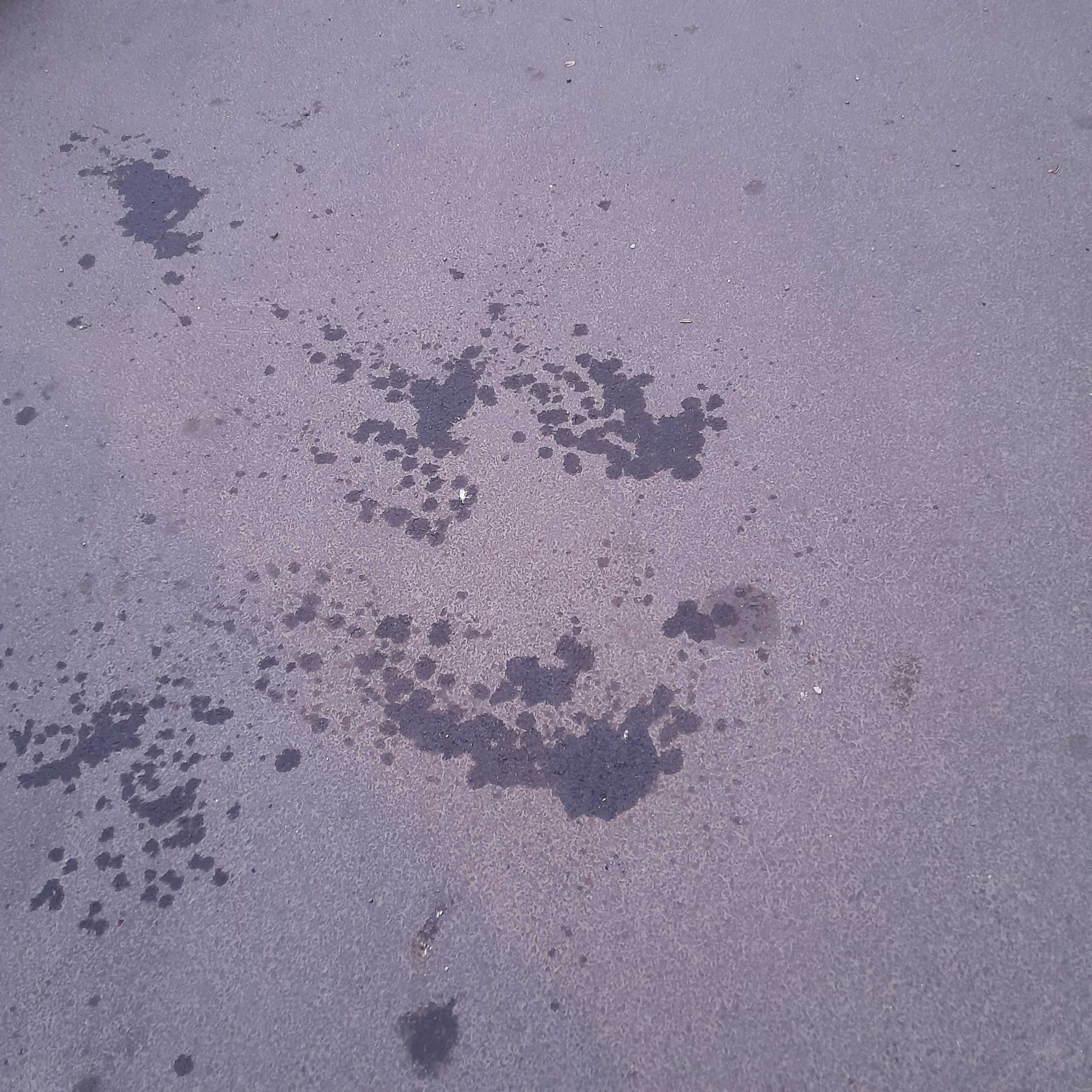 face facing 2